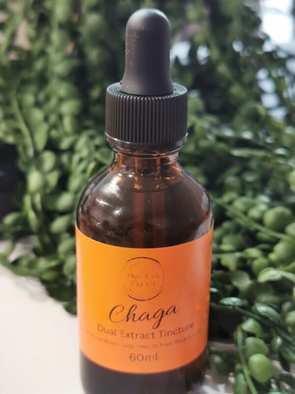 Chaga dual extract tincture health benefits Chaga tincture compounds and nutrients Best Chaga dual extract tincture for immune support Chaga tincture antioxidants and properties Where to buy Chaga dual extract tincture with high potency Chaga dual extract tincture for energy and vitality Chaga tincture beta-glucans and immune system Chaga dual extract tincture anti-inflammatory properties Chaga tincture for stress relief and relaxation Chaga dual extract tincture and cognitive function Chaga tincture polysaccharides and health benefits Chaga dual extract tincture for gut health Chaga tincture adaptogenic properties and wellness Chaga dual extract tincture and anti-aging benefits Chaga tincture for liver support and detoxification Chaga dual extract tincture and natural healing Chaga tincture immune-boosting compounds Chaga dual extract tincture and anti-cancer properties Chaga tincture for skin health and beauty Chaga dual extract tincture and overall well-being