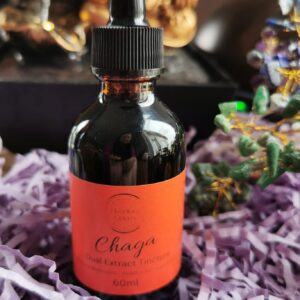 "Chaga dual extract tincture benefits" "Best chaga dual extract tincture for immunity" "Top medicinal mushroom tincture with chaga" "Where to buy chaga dual extract tincture" "Chaga dual extract tincture reviews" "Chaga tincture for overall wellness" "Natural immune support with chaga dual extract" "Chaga mushroom tincture for vitality" "Chaga dual extract tincture dosage" "Chaga dual extract tincture ingredients" "Chaga tincture for energy and focus" "Chaga dual extract tincture for stress relief" "Organic chaga dual extract tincture" "Chaga dual extract tincture side effects" "Chaga mushroom tincture vs. capsules" "Chaga tincture for immune system health" "Chaga dual extract tincture for natural healing" "Chaga dual extract tincture for sale in Ireland" "Chaga tincture dosage instructions" "Chaga dual extract tincture online shop online in Ireland"