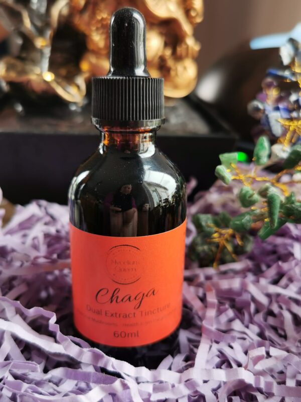 "Chaga dual extract tincture benefits" "Best chaga dual extract tincture for immunity" "Top medicinal mushroom tincture with chaga" "Where to buy chaga dual extract tincture" "Chaga dual extract tincture reviews" "Chaga tincture for overall wellness" "Natural immune support with chaga dual extract" "Chaga mushroom tincture for vitality" "Chaga dual extract tincture dosage" "Chaga dual extract tincture ingredients" "Chaga tincture for energy and focus" "Chaga dual extract tincture for stress relief" "Organic chaga dual extract tincture" "Chaga dual extract tincture side effects" "Chaga mushroom tincture vs. capsules" "Chaga tincture for immune system health" "Chaga dual extract tincture for natural healing" "Chaga dual extract tincture for sale in Ireland" "Chaga tincture dosage instructions" "Chaga dual extract tincture online shop online in Ireland"