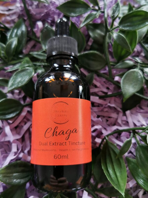 Chaga dual extract tincture Ireland reviews Chaga tincture benefits and side effects Where to buy Chaga dual extract tincture online Chaga dual extract tincture dosage recommendations Best Chaga dual extract tincture for immune health Chaga tincture vs. capsules: which is better? Chaga dual extract tincture for stress and anxiety Chaga tincture for natural anti-inflammatory support Chaga dual extract tincture for gut health and digestion Chaga tincture for skin health and radiant glow Chaga dual extract tincture for mental clarity and focus Chaga tincture for natural energy and vitality Chaga dual extract tincture for hormonal balance Chaga tincture for natural detoxification and cleansing Chaga dual extract tincture for cardiovascular health Chaga tincture for joint support and mobility Chaga dual extract tincture for restful sleep Chaga tincture for weight management and metabolism Chaga dual extract tincture for overall longevity Chaga tincture for natural immune system modulation