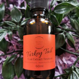 Where can I buy Turkey Tail mushrooms near me? What are the health benefits of Turkey Tail mushrooms? How do Turkey Tail mushrooms support the immune system? Are there any studies on the effects of Turkey Tail mushrooms? Can Turkey Tail mushrooms help with cancer support? What is the recommended dosage of Turkey Tail mushroom tincture? Are Turkey Tail mushrooms safe for long-term use? Can Turkey Tail mushrooms help with gut health and digestion? Turkey Tail mushrooms vs. other medicinal mushrooms: a comparison. Are there any side effects of taking Turkey Tail mushrooms?