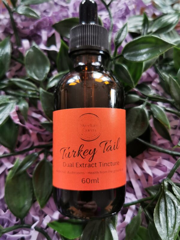 Where can I buy Turkey Tail mushrooms near me? What are the health benefits of Turkey Tail mushrooms? How do Turkey Tail mushrooms support the immune system? Are there any studies on the effects of Turkey Tail mushrooms? Can Turkey Tail mushrooms help with cancer support? What is the recommended dosage of Turkey Tail mushroom tincture? Are Turkey Tail mushrooms safe for long-term use? Can Turkey Tail mushrooms help with gut health and digestion? Turkey Tail mushrooms vs. other medicinal mushrooms: a comparison. Are there any side effects of taking Turkey Tail mushrooms?