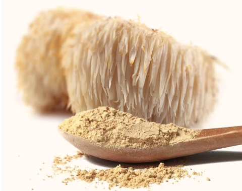 Where can I buy Lion's Mane mushrooms near me? What are the health benefits of Lion's Mane mushrooms? How do I use Lion's Mane mushrooms for cognitive enhancement? Are there any side effects of taking Lion's Mane mushrooms? Can Lion's Mane mushrooms help with memory and focus? What is the recommended dosage of Lion's Mane mushrooms? Are there any scientific studies on the effects of Lion's Mane mushrooms? How long does it take to see results from Lion's Mane mushroom supplements? Are Lion's Mane mushrooms suitable for vegans/vegetarians? Can Lion's Mane mushrooms help with nerve regeneration and repair?