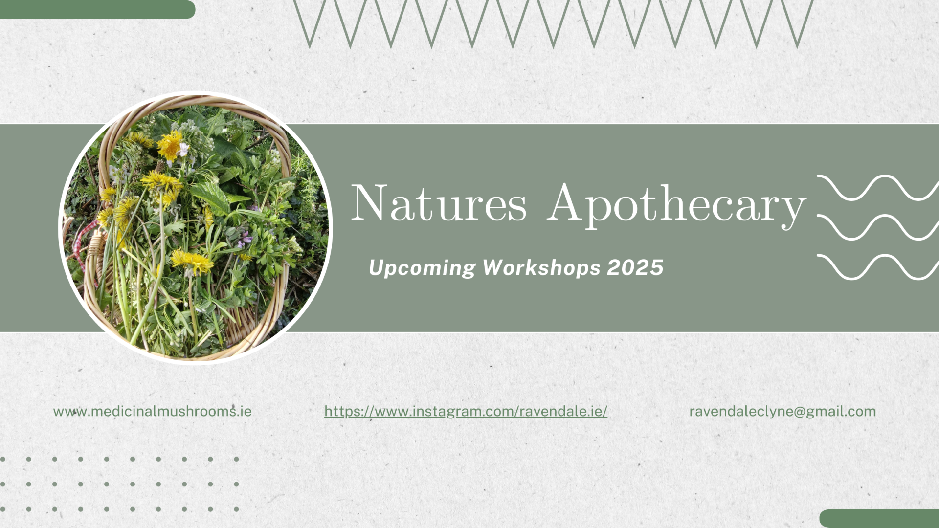 Natures Apothecary Workshops foraging courses, wild foraging courses, workshops, retreats, spiritual retreats, sweatlodges