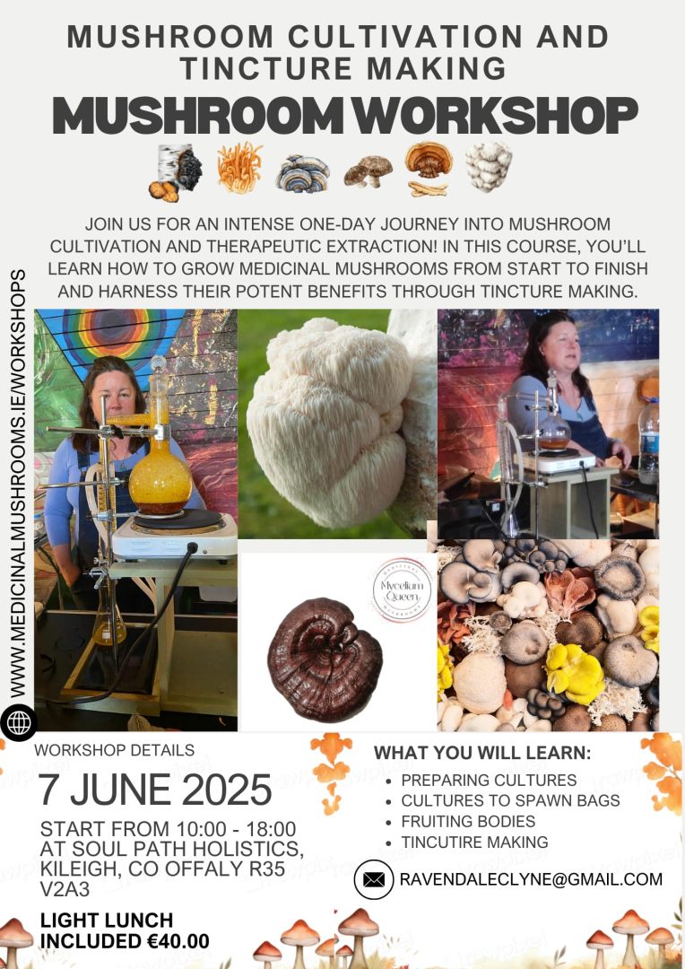 Mushroom growing and tincture making workshop June 2025 Join Nature's Apothecary at the amazing Soul Path Holistic in Killeigh, Co, Offaly on the 7th of June 2025 at 10am for an enchanting journey into the world of mushroom cultivation! Discover the captivating blend of science, art, and a touch of magic that is home mushroom growing. In this hands-on workshop, you'll learn practical techniques to cultivate your own gourmet and medicinal mushrooms, transforming your garden, balcony, or even a spare room into a fungal wonderland. What You'll Learn: Master the essentials of cultivating mushrooms on logs, straw, and wood chip. Understand the crucial role of temperature, humidity, and airflow in successful mushroom growth. Learn how to introduce mushroom spawn into your chosen growing medium, kickstarting the cultivation process. Discover the secrets to inducing fruiting and harvesting your delicious, homegrown mushrooms at their peak.