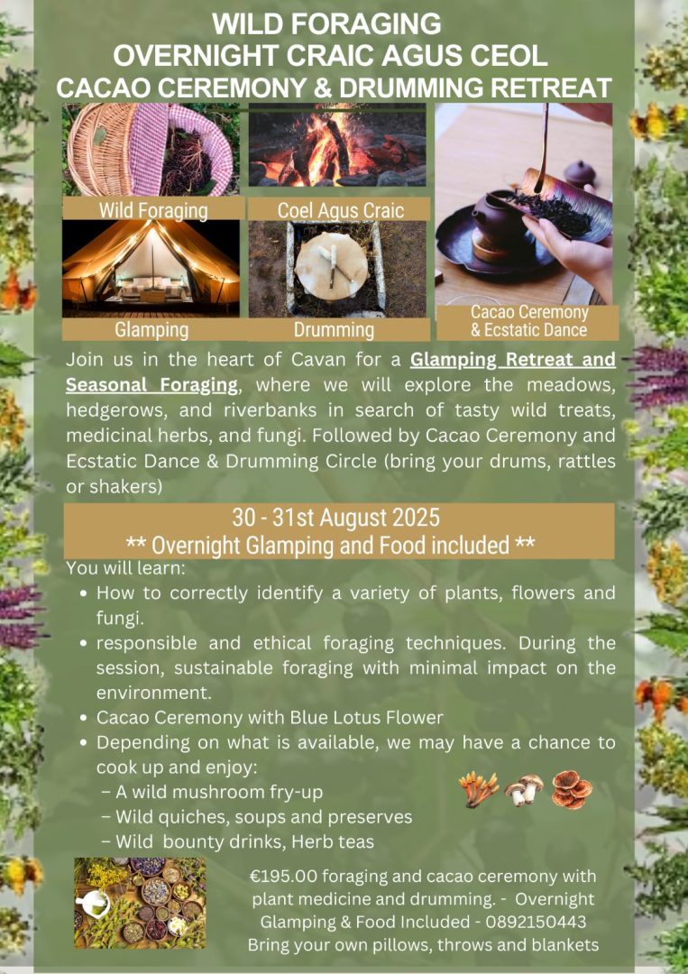 foraging retreat in cavan in august 2025 Wild Foraging Retreat forage wild herbs, flowers and plants, so eating and for medicinal uses. Cavan foraging, retreat in cavan
